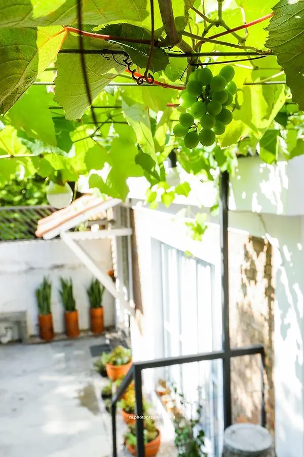 Hostel Grape Wine São Paulo