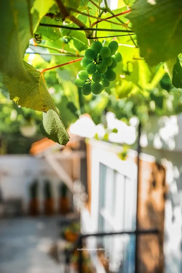Hostel Grape Wine 상파울루