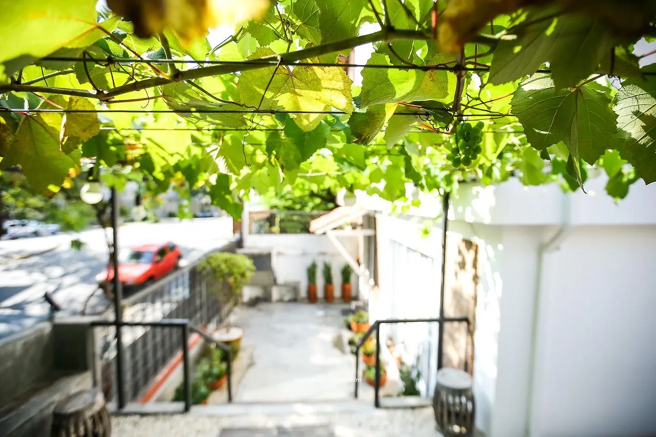 Hostel Grape Wine São Paulo